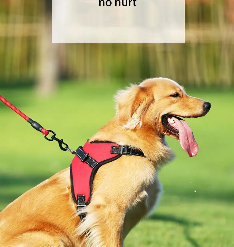 Soft and Adjustable Dog Vest Harness