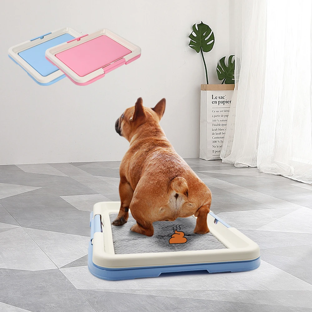 Can Dogs Use Litter Boxes