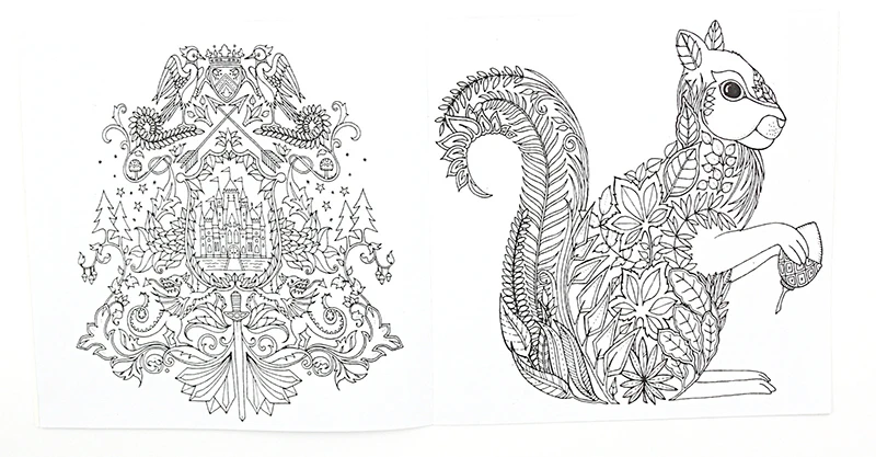 Книга раскраска Зачарованный лес 24 страницы 1 шт.|books for children|coloring bookpainting drawing book |