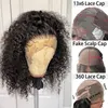Lace Wigs