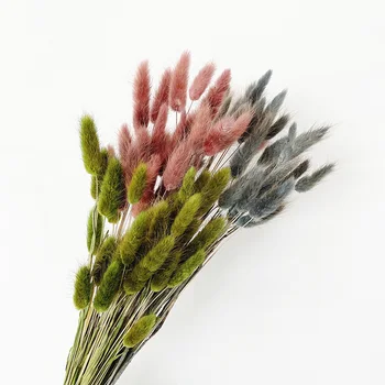 

30pcs Natural Real Haregrass Dired Flower Home Decoration Colorful Rabbit Tail Grass Real Flower Bouquet for Wedding Hotel Decor