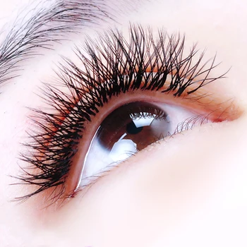 

soft YY eyelash extensions premade fans individual false eyelashes extensions for wholesale price OEM