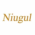 Niugul Store