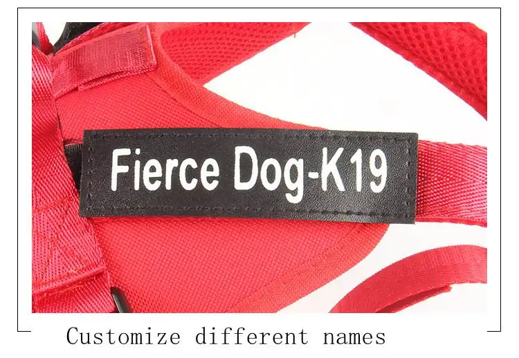 14376123660_1937179884