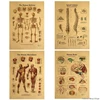 The Body Structure Skeleton Nervous System Vintage Poster Medical Decoracion Painting Wall Art Kraft Paper Posters Wall Stickers 1