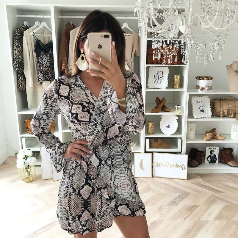 Women Leopard Snake Print Striped Dress Sexy V-Neck Long Sleeve Party Elegant Dress Autumn New Fashion A-line Mini Dresses
