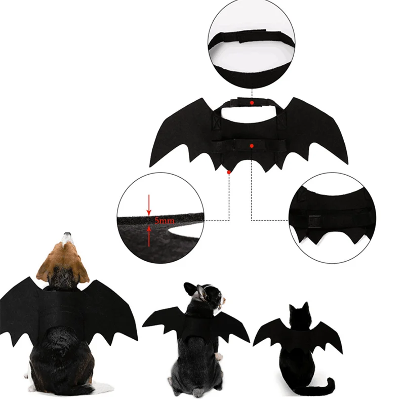 FIEEFX - Disfraz De Halloween Para Perro Y Gato, Diseño De Araña, Accesorio De Cosplay Y Decoración Para Mascotas (Talla M