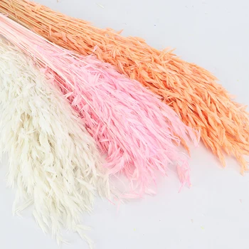 

Natural Dried Fresh Flower Bundle Preserved Flower DIY Flower Wedding Background Wall Wheat Flower Photo Photography props