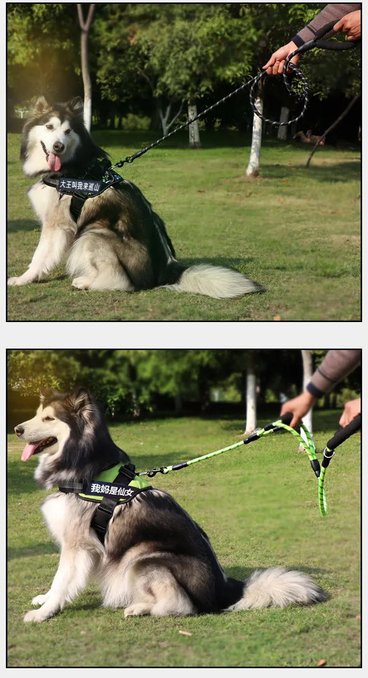 Title 1, Outdoor Nylon-Gewebe Hundeleine, Traktionsgurt ...