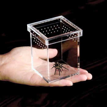 

Plastic Reptiles Living Box Transparent Reptile Terrarium Habitat For Scorpion Spider Ants Lizard Breeding Feeding Case