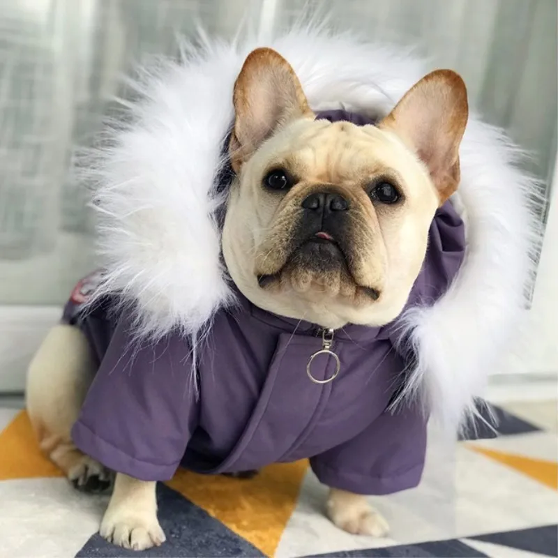 Костюмы для собак с французским бульдогом, зимняя одежда 90%, пуховик с белым пером, пальто для щенков, маленькая и средняя одежда для домашних животных, котов - Цвет: Purple