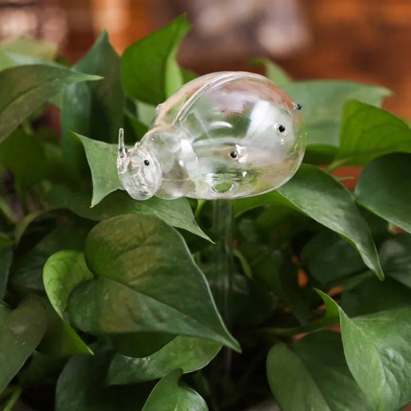 Automatic Watering Device Glass Plant Flowers Water Feeder