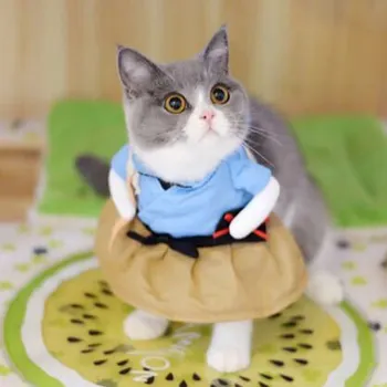 

Halloween Pet Transformation Clothing Strong Durable Easy to Wear and Take Off Suitable for Halloween Party Pet Cat Clothes