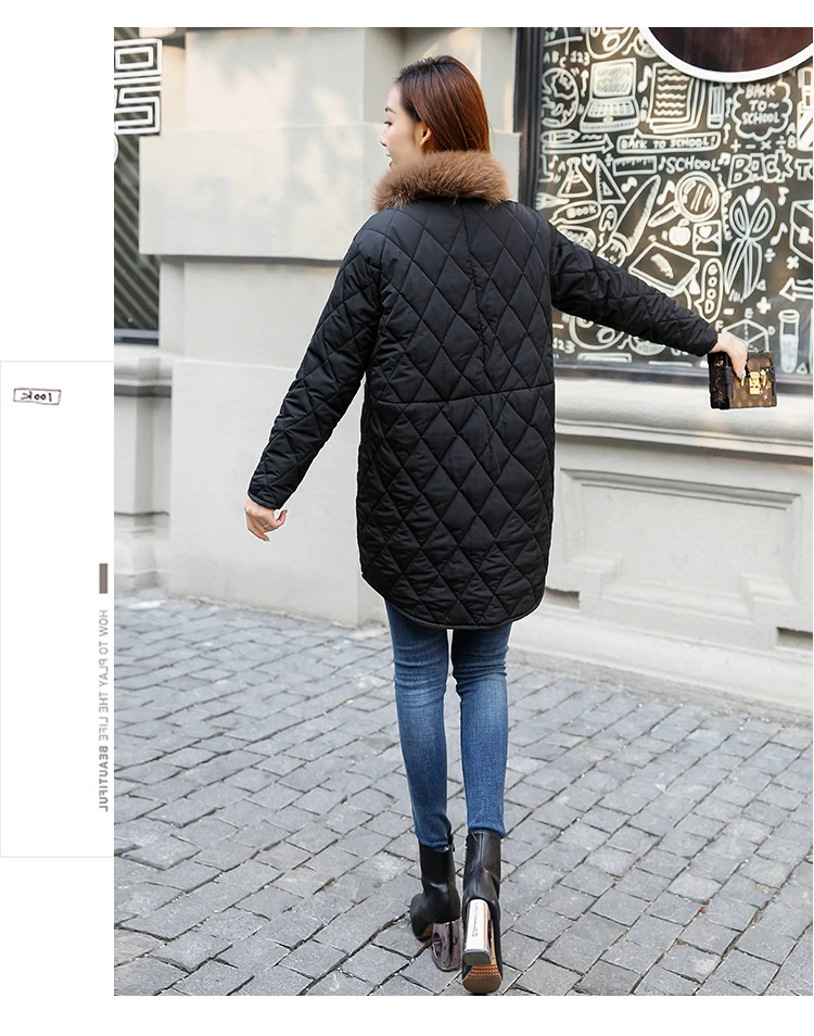 O1CN01j3PXhE1v6pyvpjDIz_!!2066926124