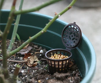 

10pcs/set Fertilizer box Bonsai Tool Fertilizer Cover Basket Box Dome Case Plant Bug Portable Nursery Pots
