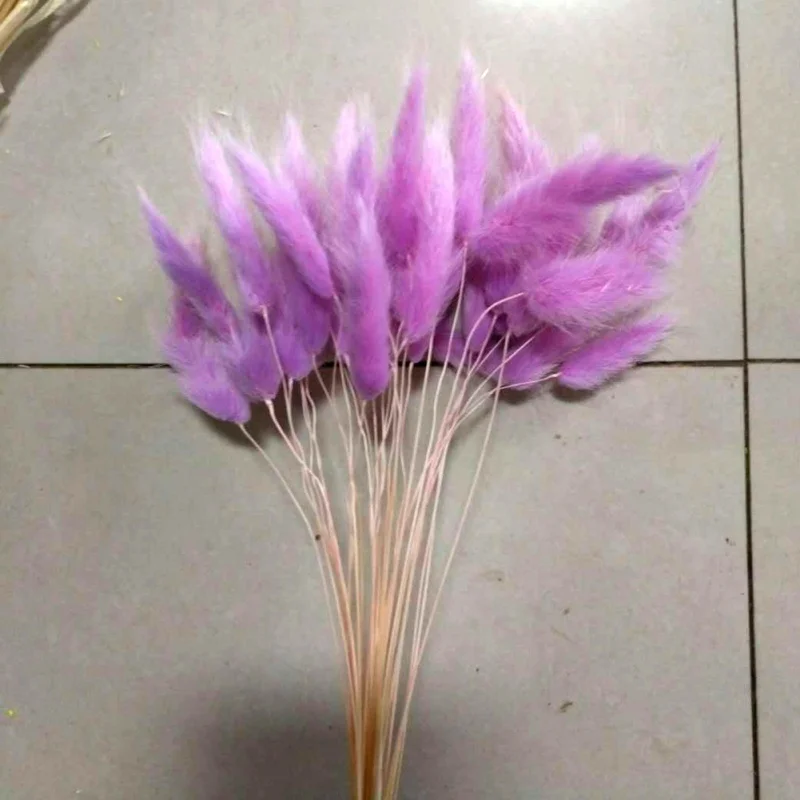 OA0540Z 30Pcs/lot Natural Dried Flower Colorful Lagurus Ovatus Real Flower Bouquet for Home Wedding Decoration Rabbit Tail Grass Bunches - Цвет: OA0540Z