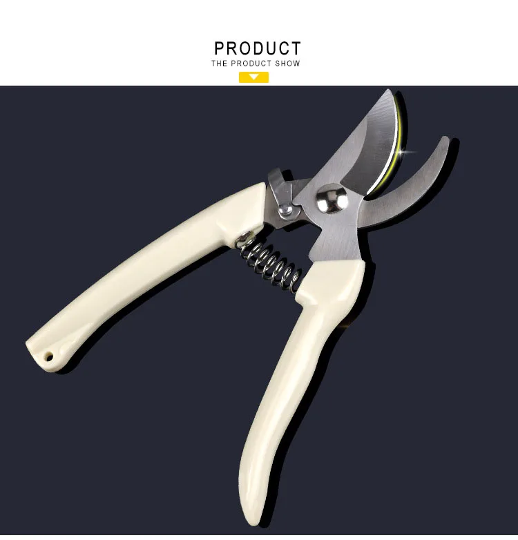 3121112682_598991726