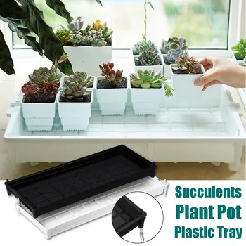 

New Plastic Garden Pots Tray Bonsai Seedling Nursery Pots Stand Base Succulents Drain Growing Holder Rectangular Pallet 2 Colors