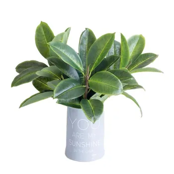 

10Pcs Fake Single Stem 3D Banyan Leaf 15.75" Simulation Greenery Real Touch Leaf for Wedding Home Decorative Artificial Plants