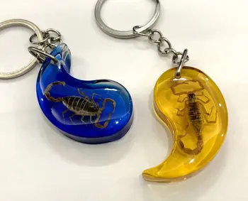 

10 pcs Unique Insect Resin Keychain Scorpion Color Key Chain Souvenir Gift
