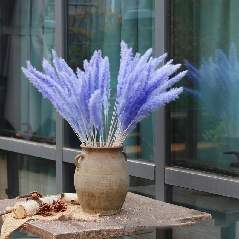 11194866995_932765905