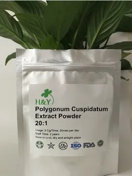 

150-1000g Free shipping Natural Polygonum Cuspidatum Extract 20:1 in bulk