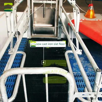 

CHINA'S MODERN PIG FARM WITH FULLY AUTOMATED LIQUID FEEDING SYSTEM 3000 PIGS Whole design technology output equipment supply