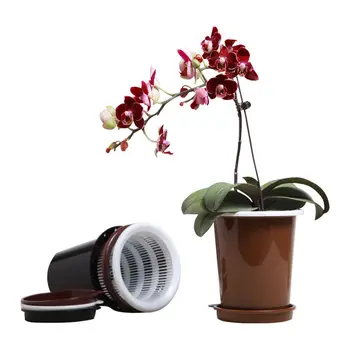 

Meshpot 12 cm Orchid Pot Double Layers Flower Pot Mesh,Root Controlling Patent Technology Excellent Drainage(ID. : 4.7 Inch)