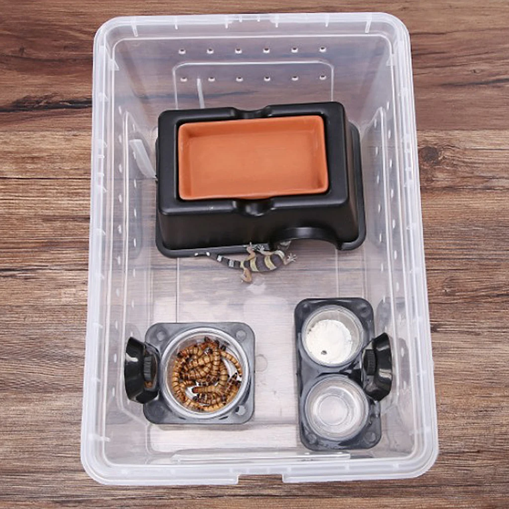 2Pcs/Set Lizard/Leopard/Gecko/Scorpion/Chameleon Reptiles Food Bowls Feeder