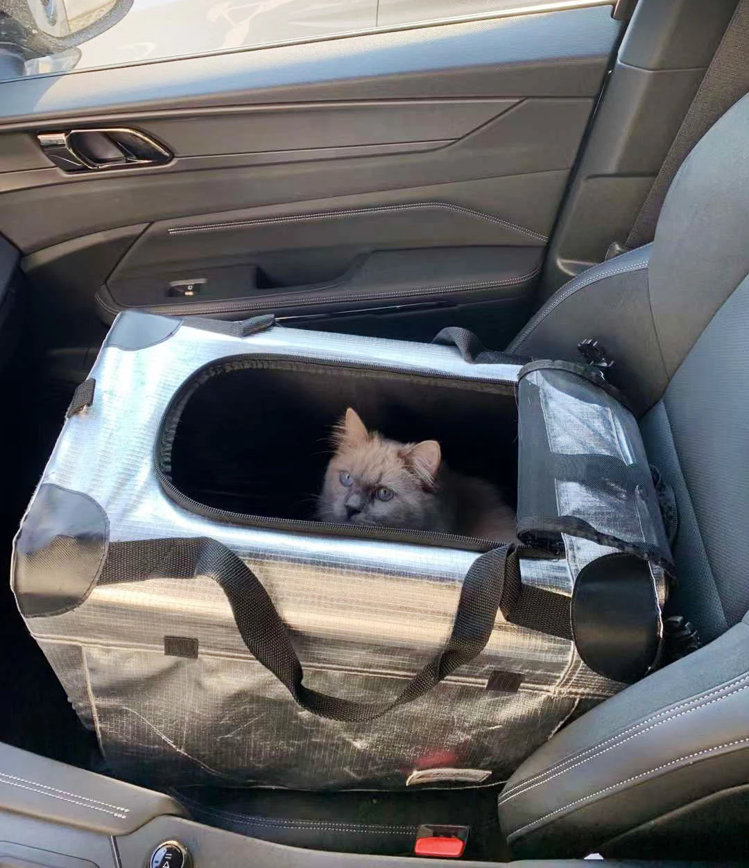 grande pet cão portador de carro saco de assento dobrável prova dfoldable água malha sacos transporte gato cesta viagem esteira filhote cachorro gaiola