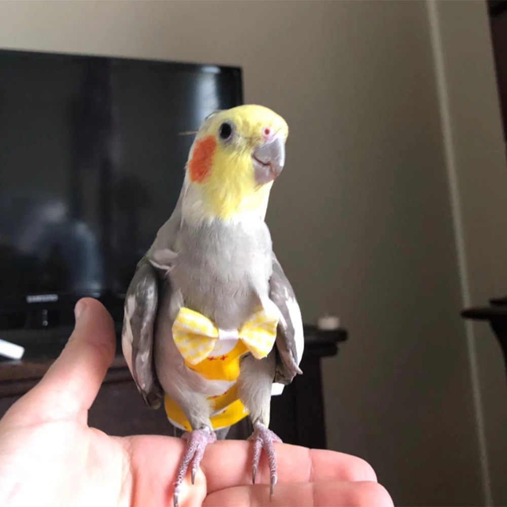 Pet пеленки одежда с птицами поводок для попугая Тяговый канат Регулируемый Pet птица летящая одежда ремень веревка поводок для попугая XS s m l