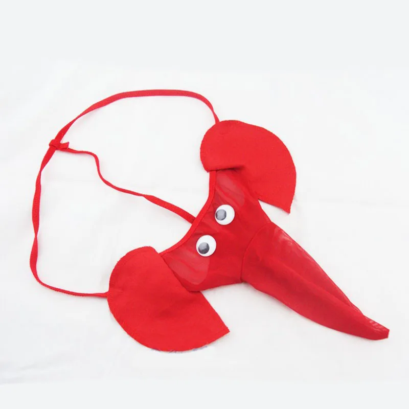 3685116738_613201013