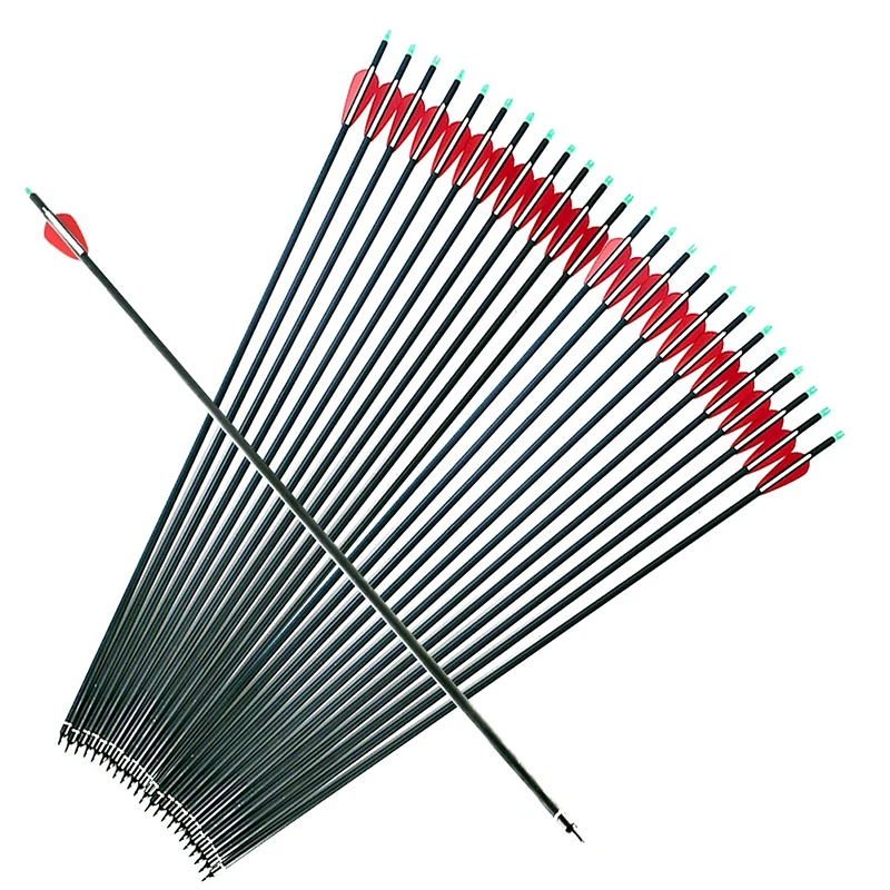 12pcs Archery Compound Bow Spine500 Carbon Arrow 30inch With