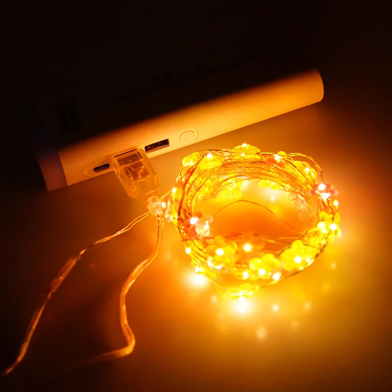 YINUO LIGHT 6 м 40LED цепочка цветов сказочные огни USB рождественские огни в помещении на День святого Валентина Свадебная вечеринка украшение дома гирлянда
