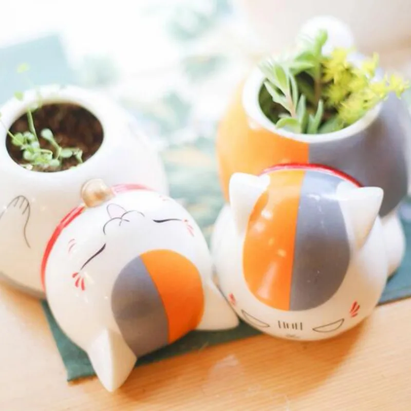 

Cat Teacher Cartoon Cute Ceramic Flower Pots Small Potted Plants Secondary Element Bilibili Succulents Pot Flower Shaped Bowl