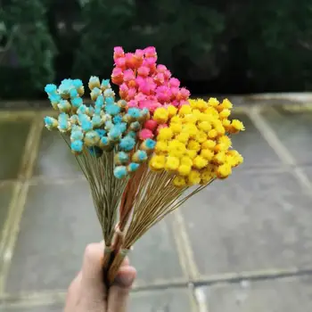 

50pcs/lot,Natural Dried Mini Happy Flowers,Display Flower DIY wedding Party christmas Home Decoration accessories,mini flowers