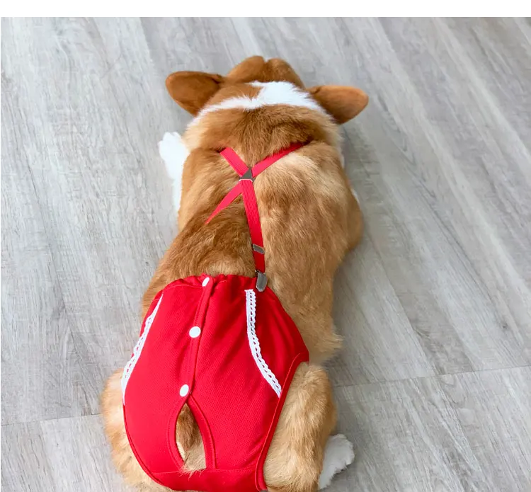 O1CN01EO1DJg1j8Q3rxzJrf_!!144304503