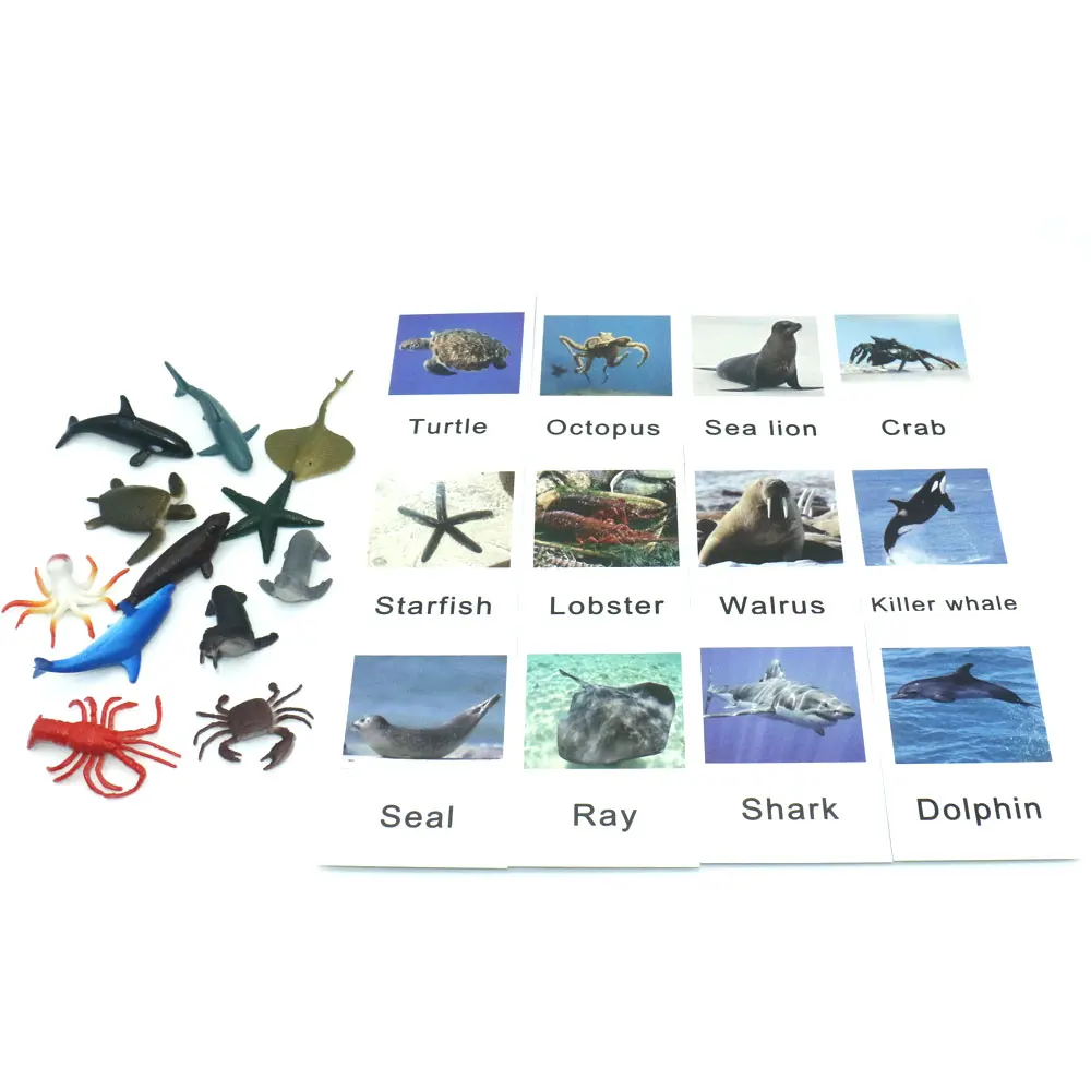 Montessori Toys Ocean Animal Match Cards and Figurines, Matching Game Language Learning Materials Juguetes Montessori L1046F