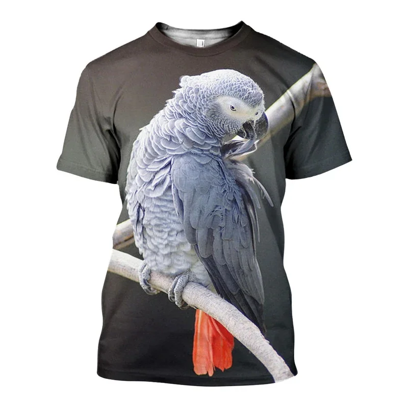 Duc_African_Grey_Parrot_3D_DT191109_TS_800x