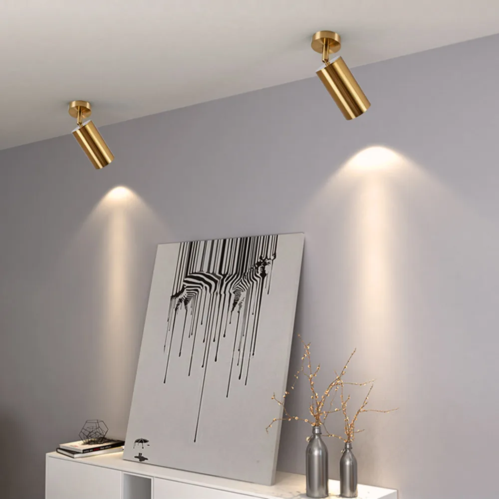 ceiling spotlights  (1)