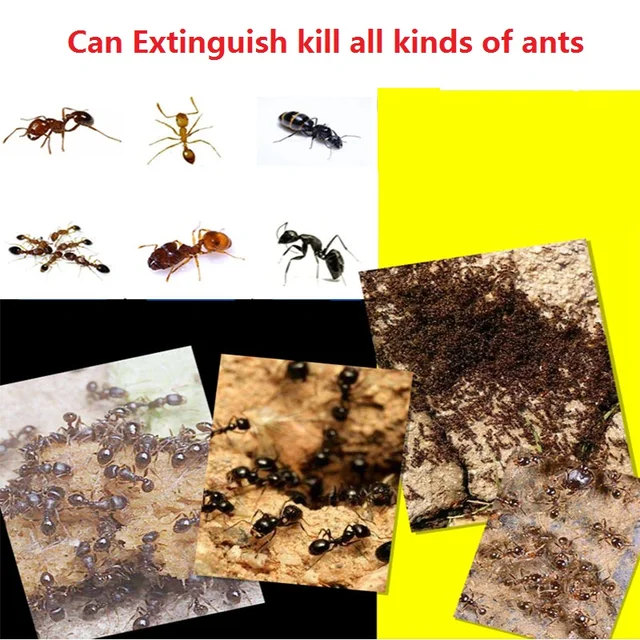 20Db Erőteljes Gyilkos Csali Por Hangyák Hlans Piros Sárga Fekete Hangya Háztartási Kártevőirtás - Image 6