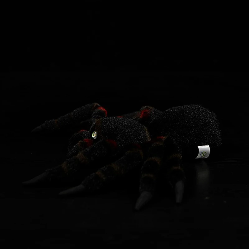 O1CN01xOtiqQ1DnZzTyiWzX_!!22080261