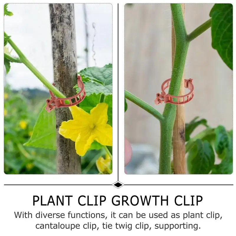 Plant Clips 100pcs Trellis Clip Accessories Hangers Greenhouse Tomato Stem Clips plant clips,plastic plant clips,plant stem support,flower stem holder