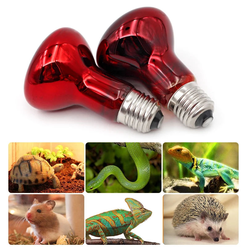Reptile Lamp Pet Heating Lamp E27 UV Day Night Amphibian Turtle Snake Heat Reptile Bulb Light 25/50/100W AC220-230V