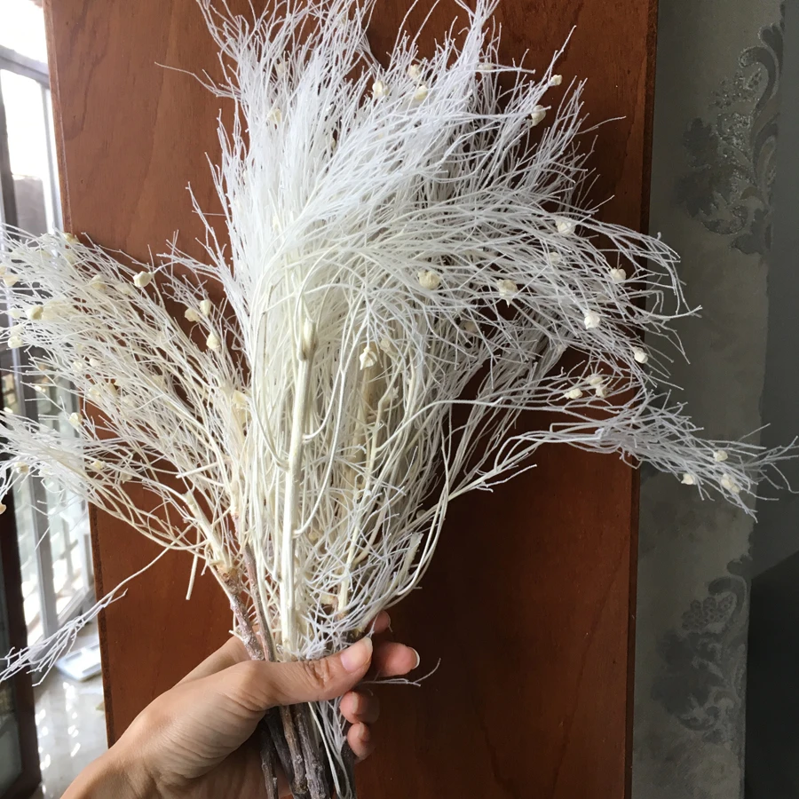Preserved Nature Dream Grass 40g/bunch 20-30cm DIY Eternell Floral Wedding Favor Marriage Advent Wreath Home Dried Flower Decor | Дом и сад
