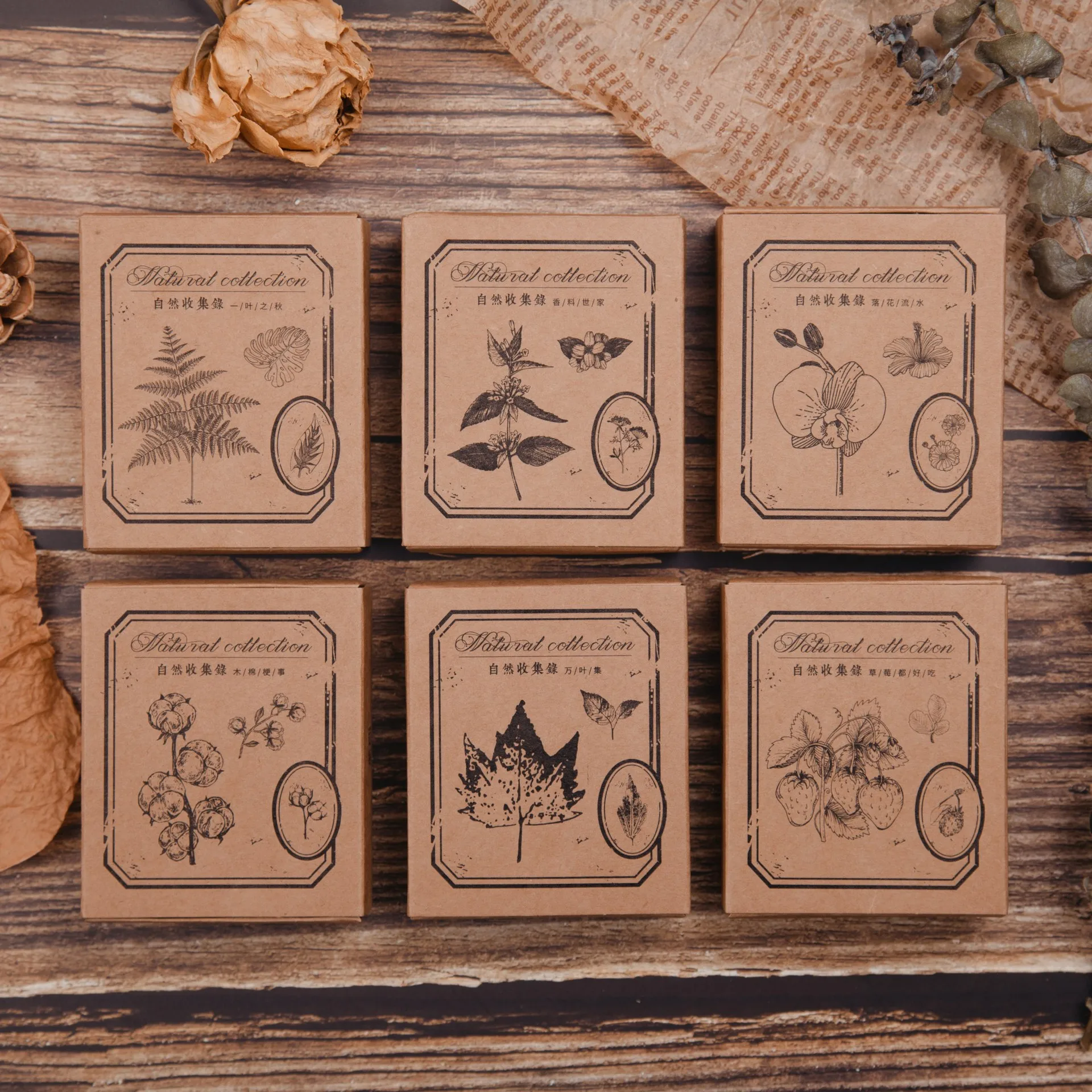 

6 Designs Mixed Nature Collection Creative Vinage Fashion Stamps DIY Sticker Journal Deco Supplies
