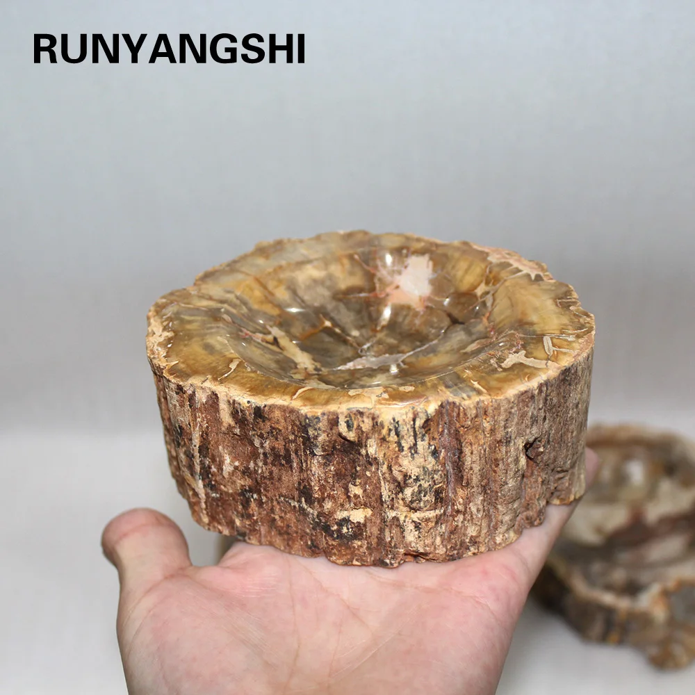 Runyangshi 1pc Beautiful natural wood fossil hand carved polished ashtray | Дом и сад