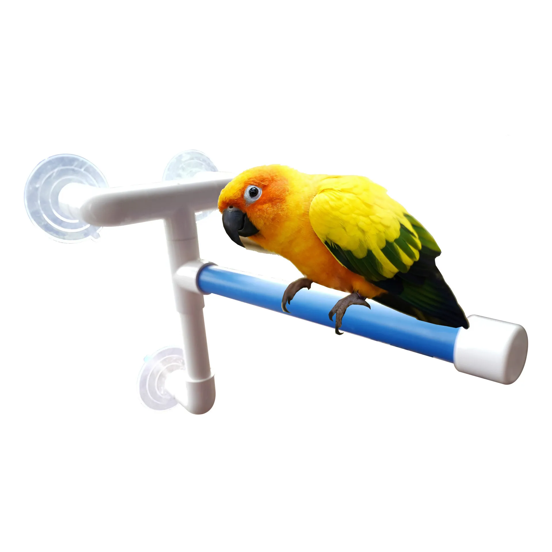 Parrot Standing Bar Bird Stand Parrot Toy Parrot Bath Shower Stand Bathing Supplies