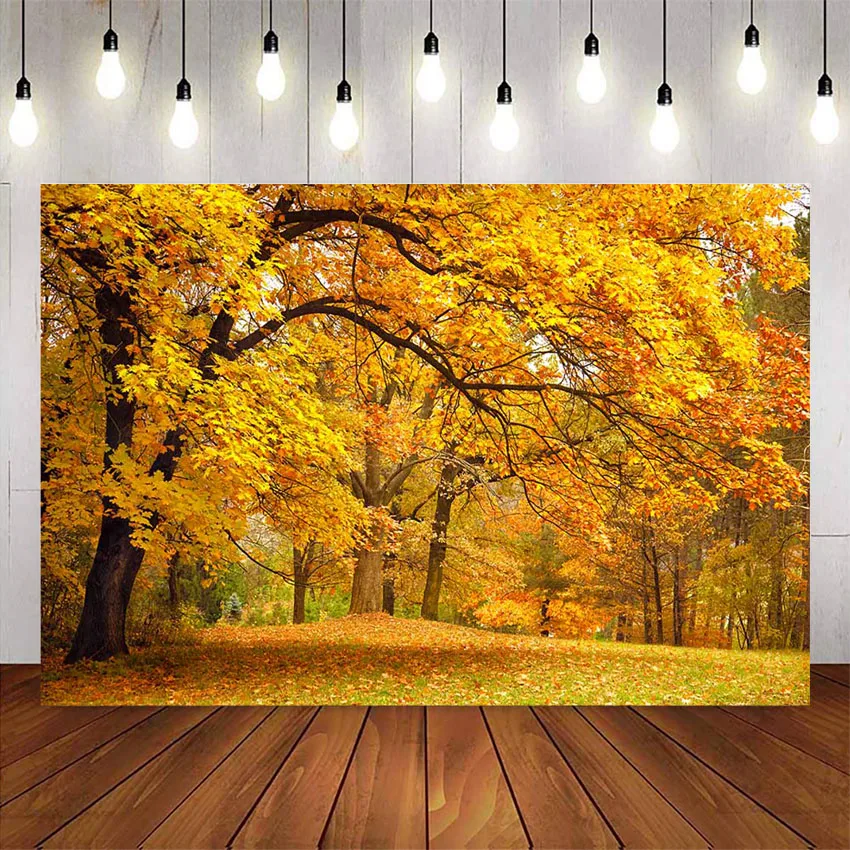 Photography Backdrop Fall Scenery Gold Leaves Forest Path Background For Photo Studio Autumn Forest View Portrait Phtoographic Background Aliexpress