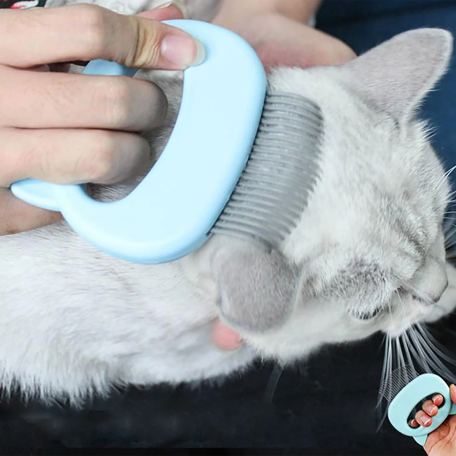 

Mini Pets Comb Pets Massage Brush Shell Shaped Handle Pet Grooming Massage Tool To Remove Loose Hairs Only for Cats